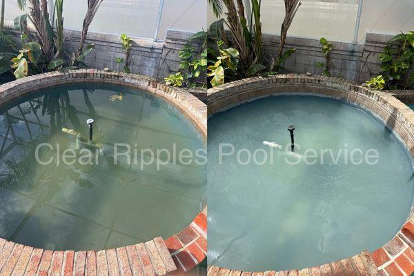 Before and After algae treatment and pool service.