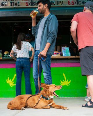 Dog friendly inside and out!