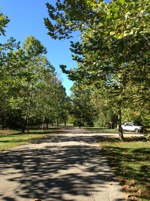 Whitetail Campground loop.