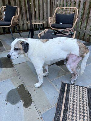 Skylos Sports Medicine