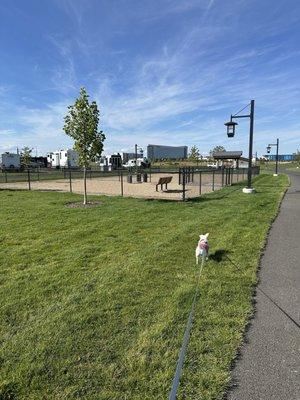 Dog park