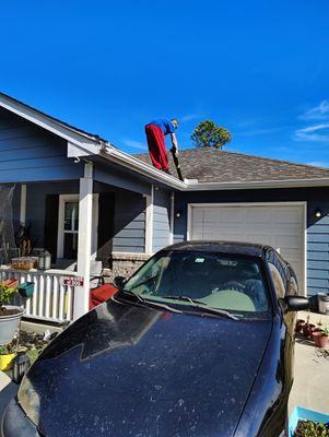 Eddie & Holly Professional Services