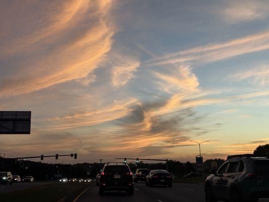 The Bloom At Braddock