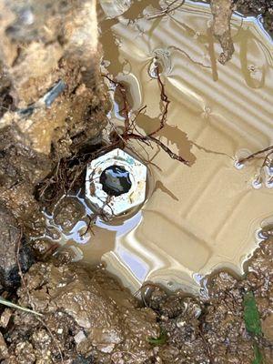 All Seasons HVAC & Plumbing