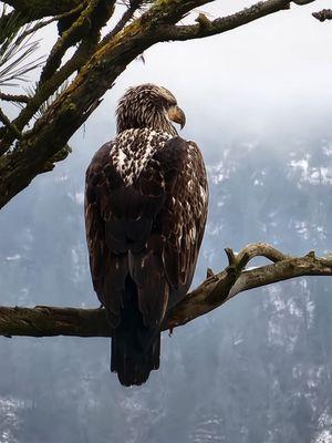 You can spend time enjoying nature when you're not stuck with doing your own bookkeeping.