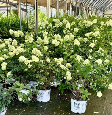 Alvaton Nursery & Landscape