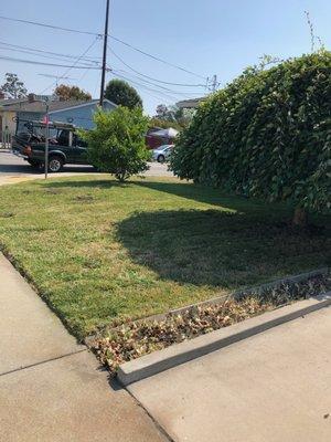 Barahona's Landscaping