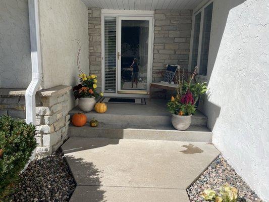 Fall flowers and pumpkins