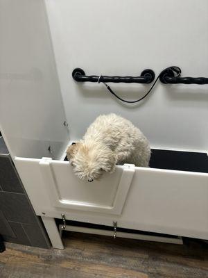 EarthWise Pet Rancho Mirage