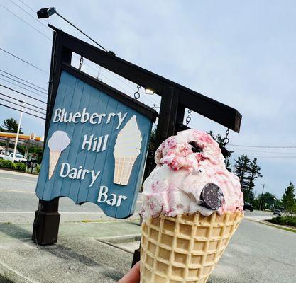 Blueberry Hill Dairy Bar
