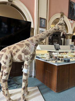 Halifax Historical Museum