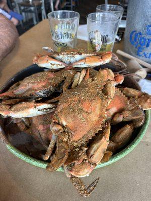 Scotty Dog’s Lounge & Grill