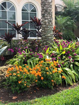 Lasting Impressions Property Creations