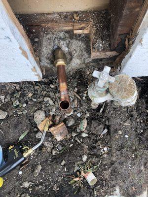 Isauro Carlos Gardening Service