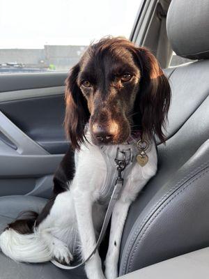 Pet Resource Center - Kansas City