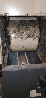 Eco AC Repair Miami