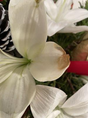 All Flowers
