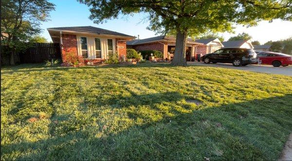 M&M Lawncare and Landscape