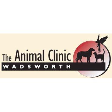 The Animal Clinic - Wadsworth