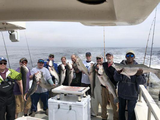 Striped Bass Stripers April 2019