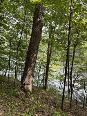 Eagle Lake Trailhead