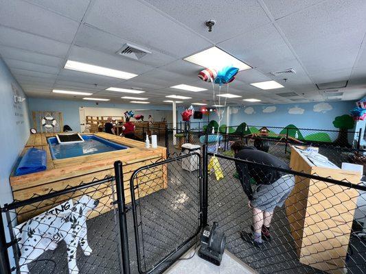 K9 Bay Doggy Day Care And Aquatic Center
