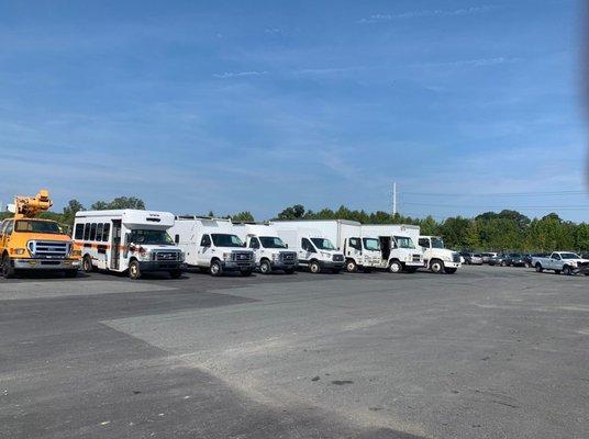 Manheim Maryland's Specialty Sale