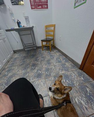 Harmony Veterinary Hospital