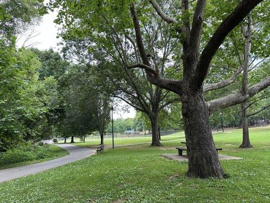 Pearson Springs Park