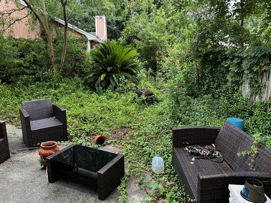 Sunshine Standard Landscape