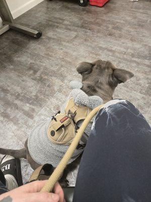 Titan Veterinary Services