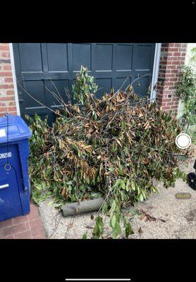 JM Junk Removal Services