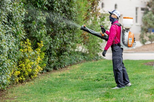 Mosquito Authority of Richmond