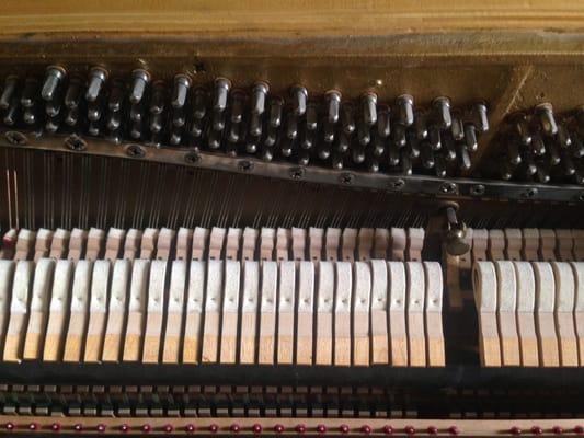 Fine Tuning St. Louis