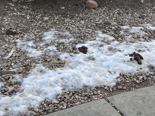 Crestmoor Apartments