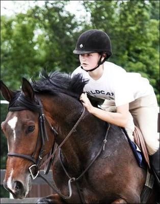 Lance Williamson Stables