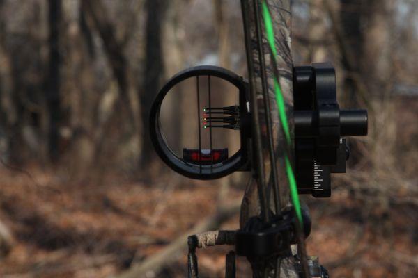 perfect sight picture!