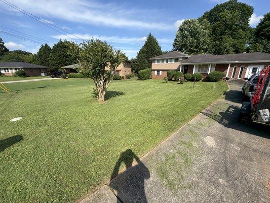 Crispy weekly Customer