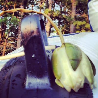 After a day of tubing on the AuTrain River.