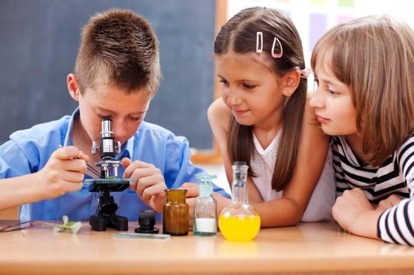 Shine In Math Academy