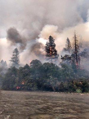 Downtown Ignacio Tow