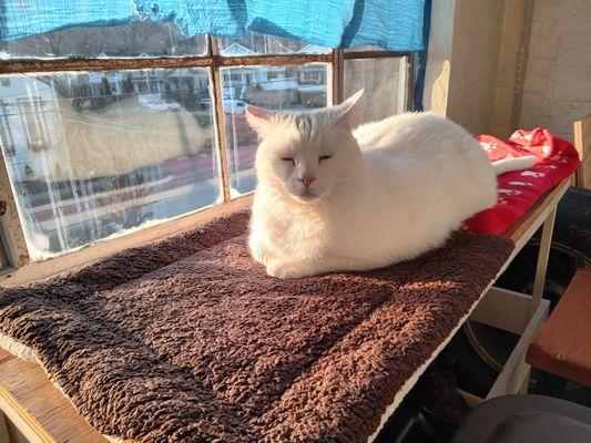 Casper again