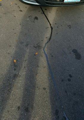 This was taken just minutes after my car was put on park. I could literally see the leak coming out of this engine.