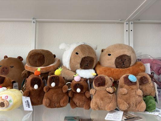 Cute capybara plushies