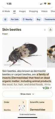 Concord Pet Foods and Supplies