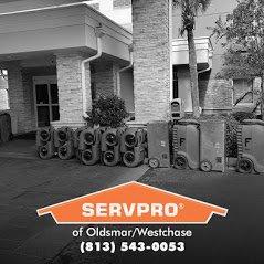 SERVPRO of Oldsmar/Westchase
