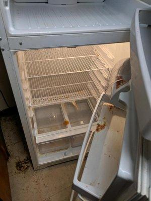 Kool Hands Cleaning Service