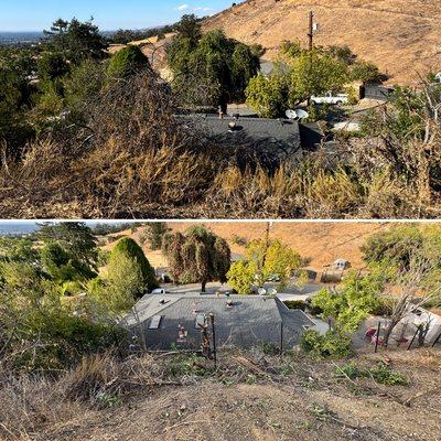 Yard Care & Pressure cleaning