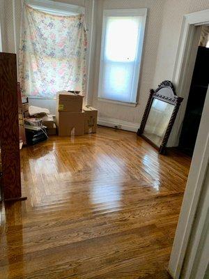 Lushoree Cleaning Service