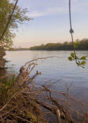 Skyline view over the river